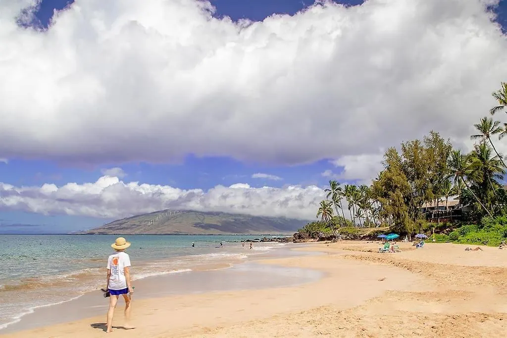 Steps From The Beach Sunset From Your Balcony Kihei
